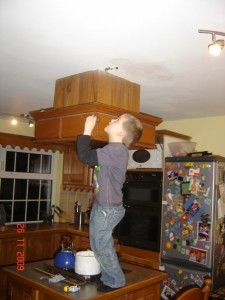 I'm sure I can reach that very interesting thing up here. Maybe if I just stood on this pot...